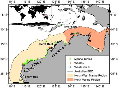 Exposure of marine megafauna to cumulative anthropogenic threats in north-west Australia